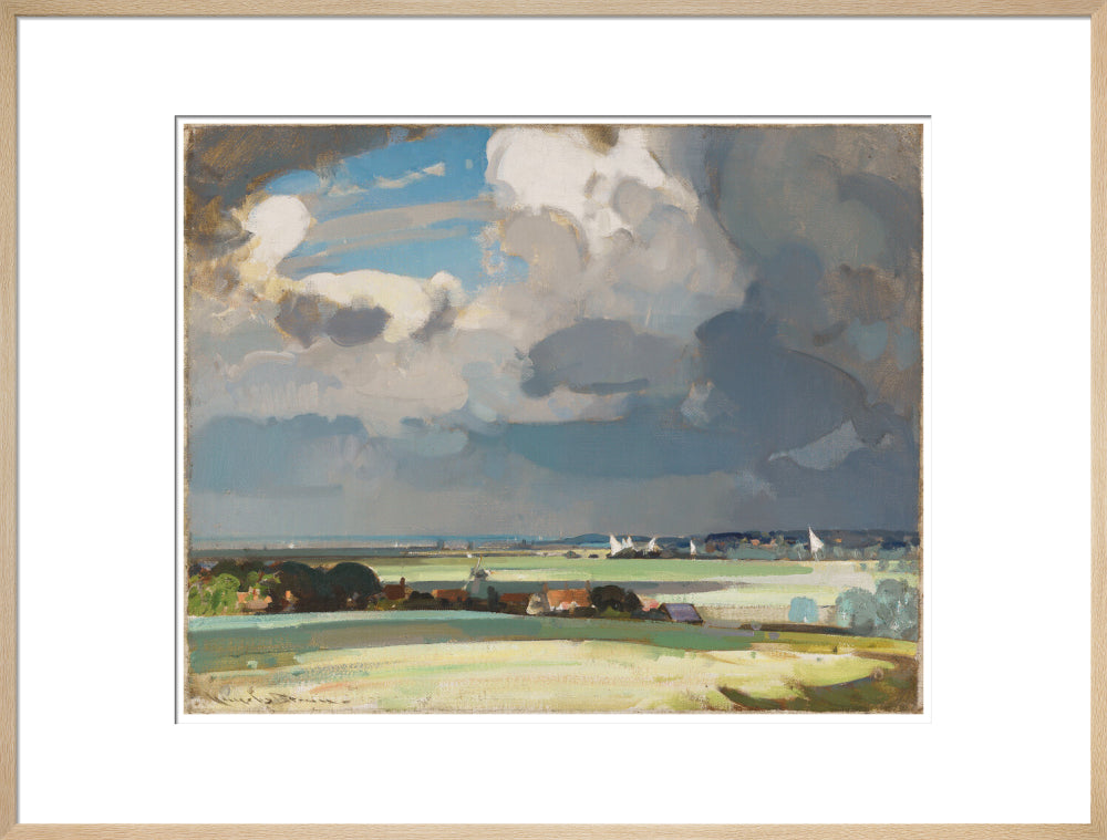 The Yacht Race (art print, extra large, natural)