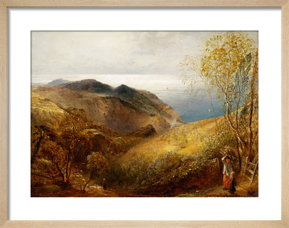 View of Lee, North Devon. (art print, small, natural)