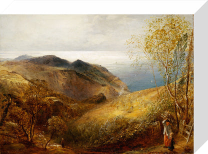 View of Lee, North Devon. (stretched canvas, small, unframed)