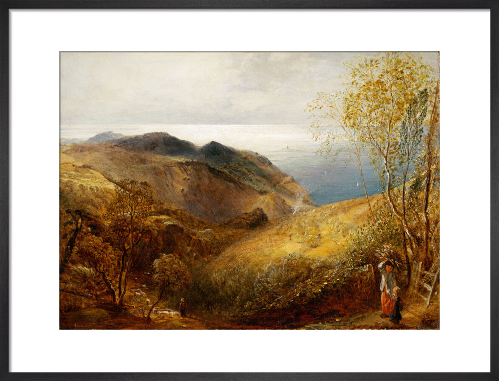 View of Lee, North Devon. (art print, medium, black)