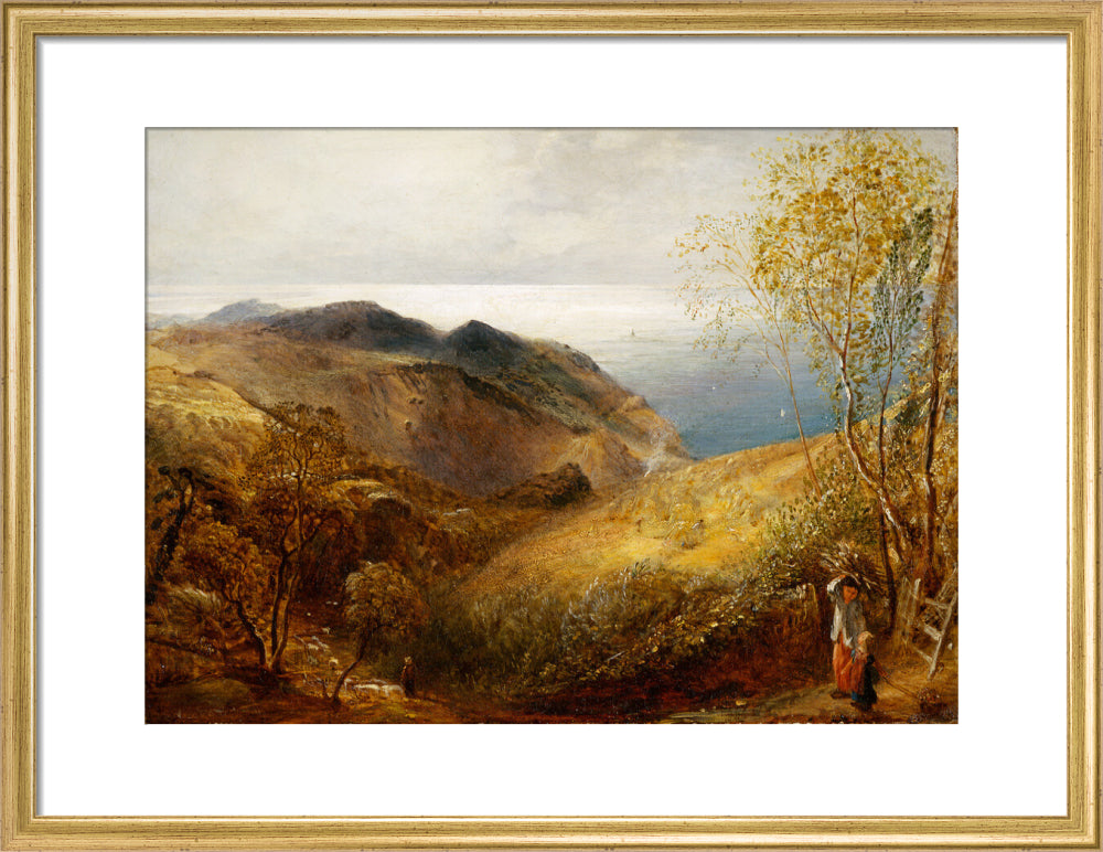 View of Lee, North Devon. (art print, medium, gold)