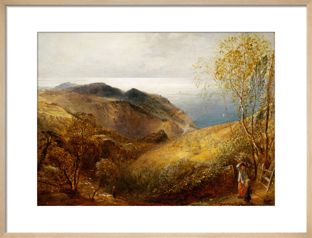 View of Lee, North Devon. (art print, medium, natural)