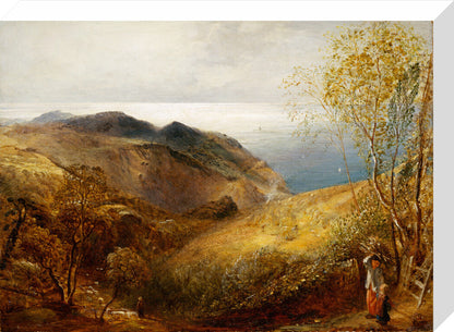 View of Lee, North Devon. (stretched canvas, medium, unframed)
