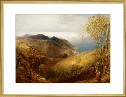 View of Lee, North Devon. (art print, large, gold)
