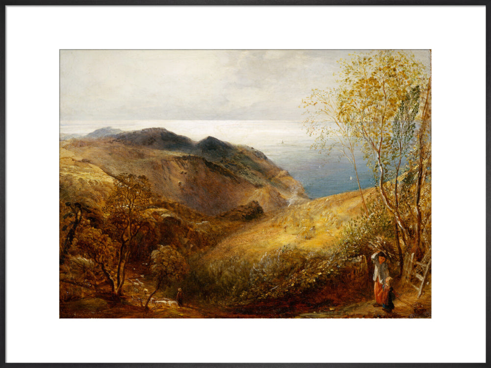 View of Lee, North Devon. (art print, extra large, black)