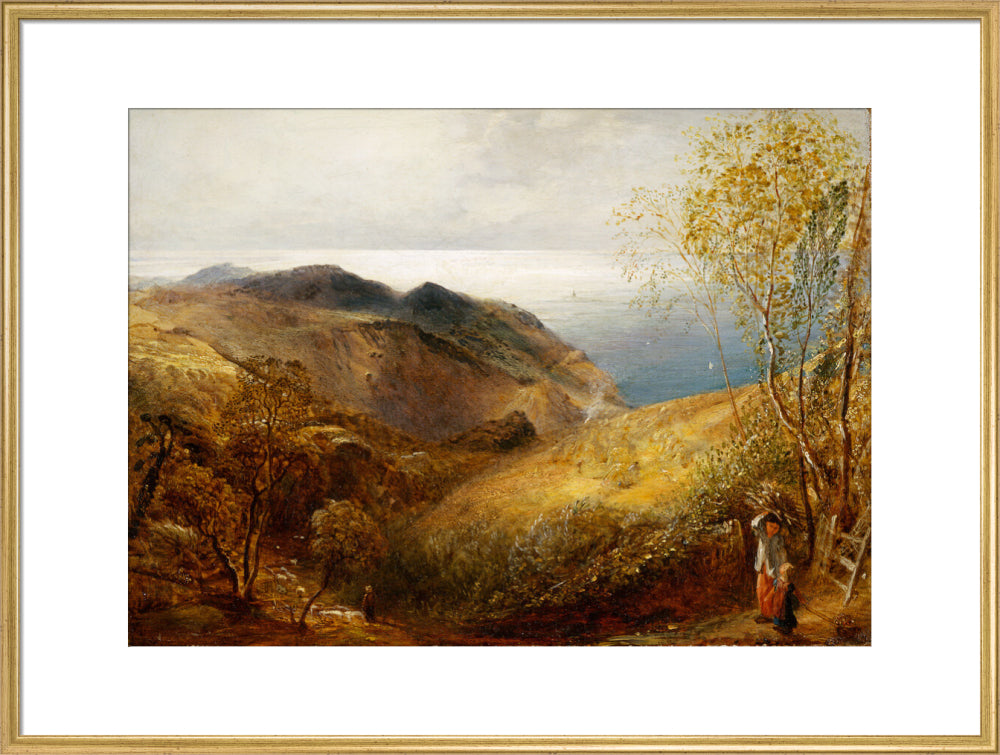 View of Lee, North Devon. (art print, extra large, gold)