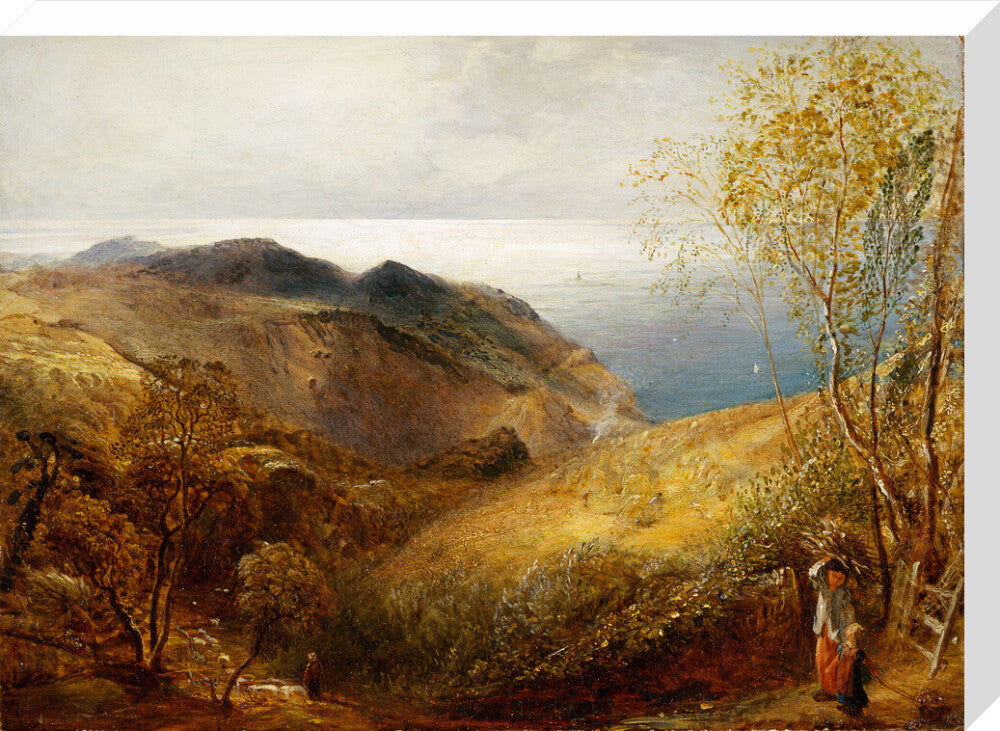 View of Lee, North Devon. (stretched canvas, large, unframed)