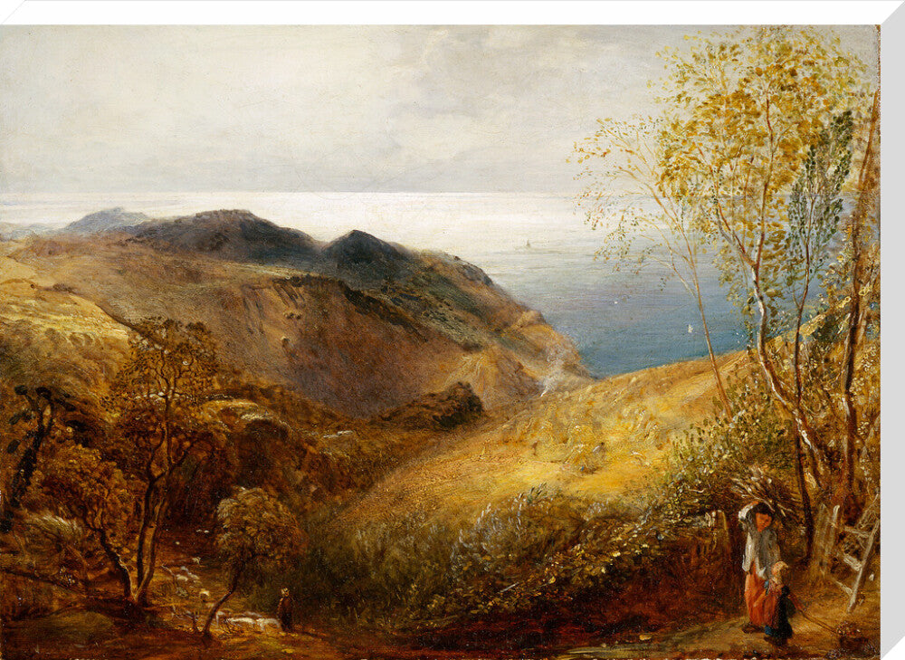 View of Lee, North Devon. (stretched canvas, extra large, unframed)