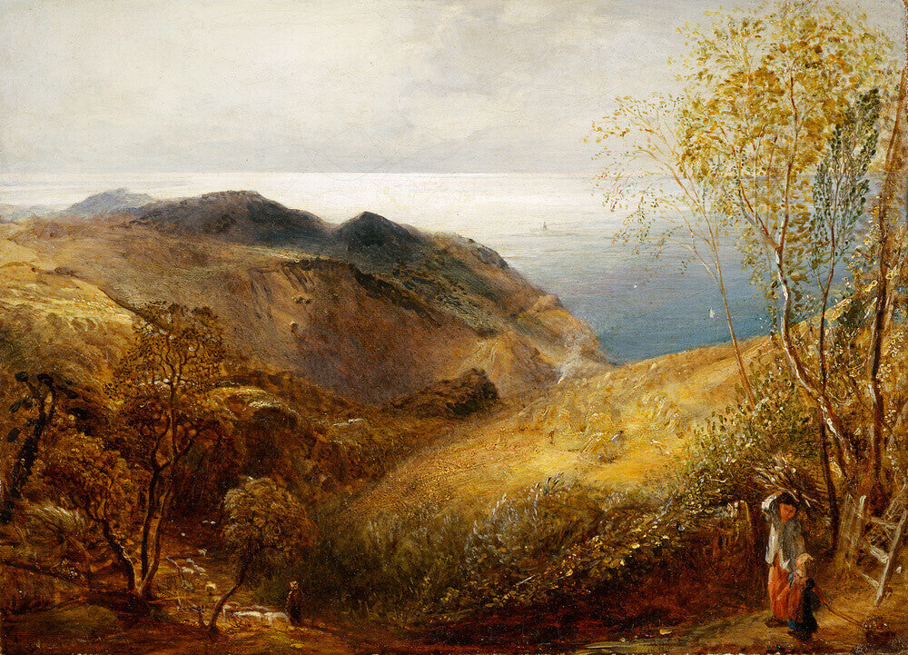 View of Lee, North Devon.