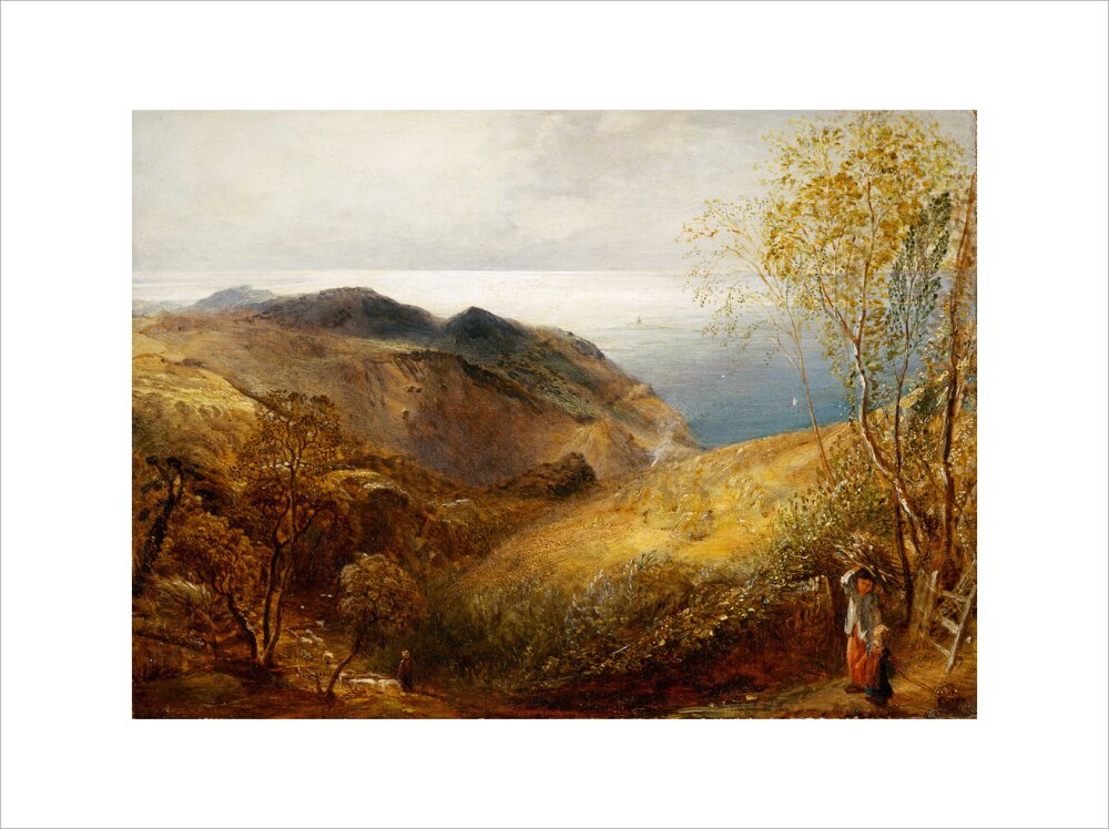 View of Lee, North Devon. (art print, extra large, unframed)