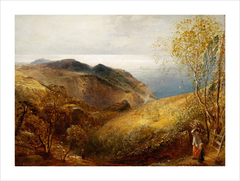 View of Lee, North Devon. (unstretched canvas, extra large, unframed)