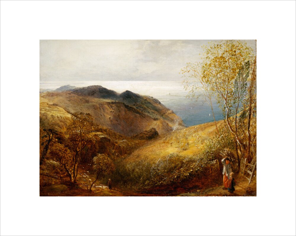 View of Lee, North Devon. (unstretched canvas, small, unframed)