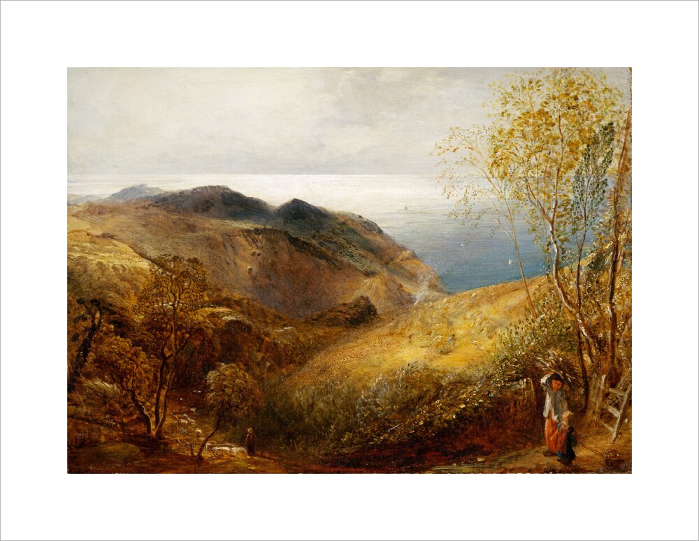 View of Lee, North Devon. (unstretched canvas, medium, unframed)