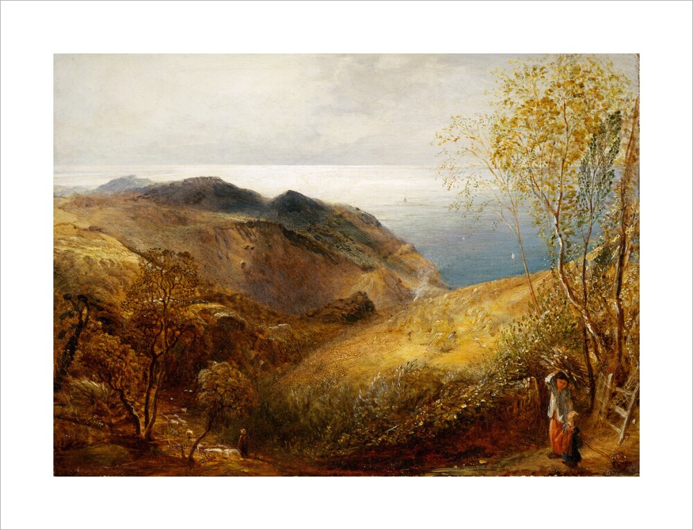 View of Lee, North Devon. (unstretched canvas, large, unframed)
