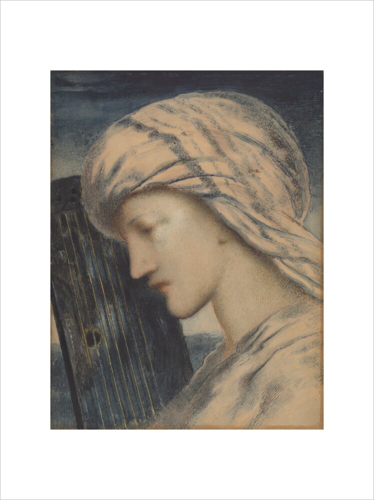 David (art print, extra large, unframed)