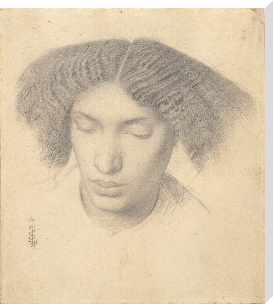 Portrait of Mrs Fanny Eaton (stretched canvas, extra large, unframed)