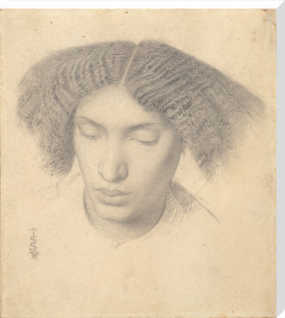 Portrait of Mrs Fanny Eaton (stretched canvas, extra large, unframed)