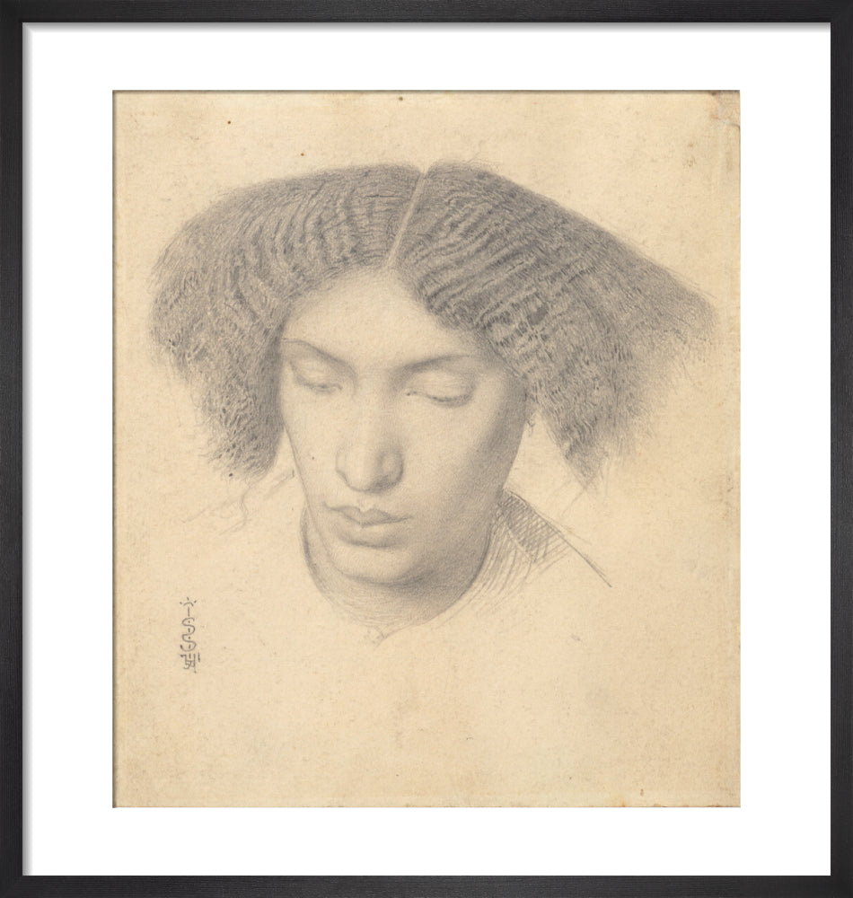 Portrait of Mrs Fanny Eaton (art print, small, black)