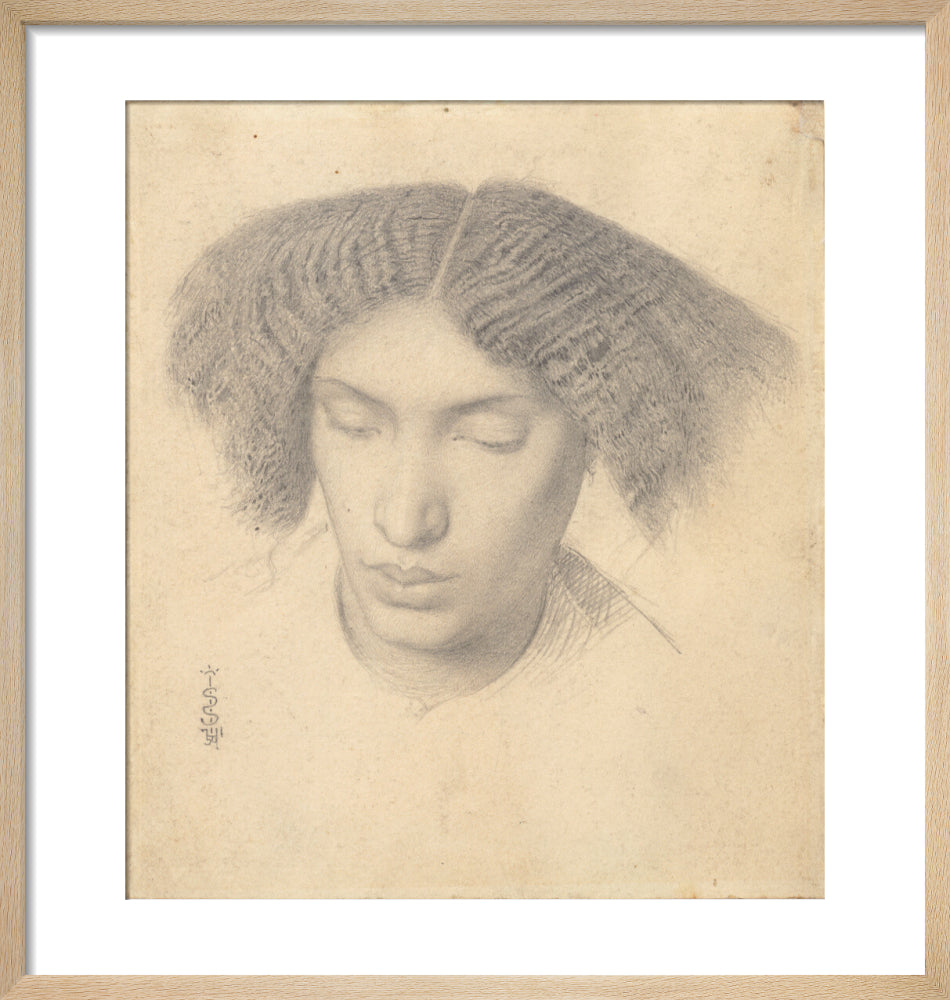 Portrait of Mrs Fanny Eaton (art print, small, natural)