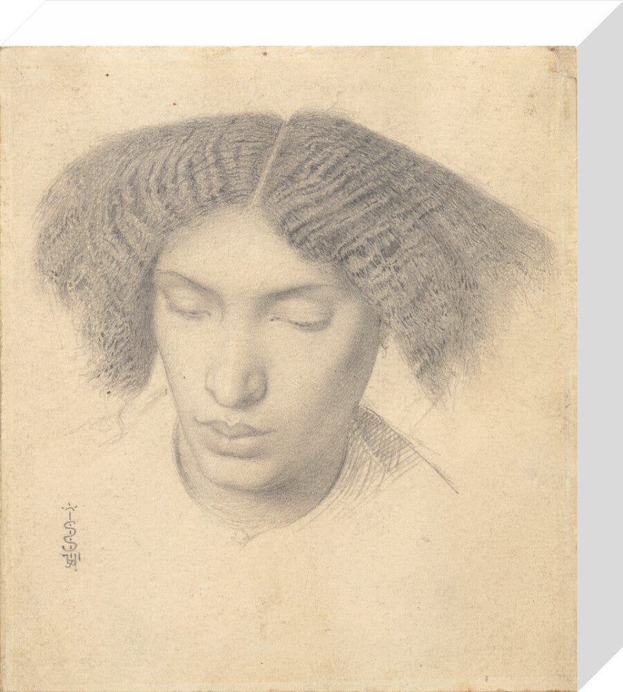 Portrait of Mrs Fanny Eaton (stretched canvas, small, unframed)