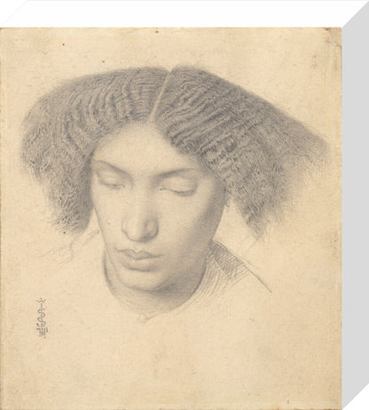 Portrait of Mrs Fanny Eaton (stretched canvas, small, unframed)