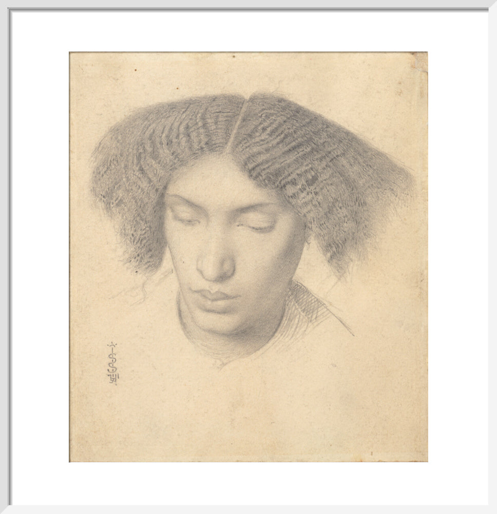 Portrait of Mrs Fanny Eaton (art print, medium, white)