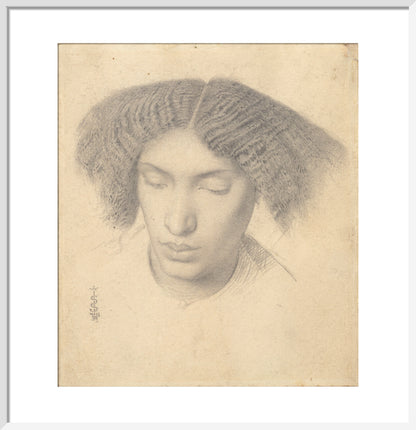Portrait of Mrs Fanny Eaton (art print, medium, white)