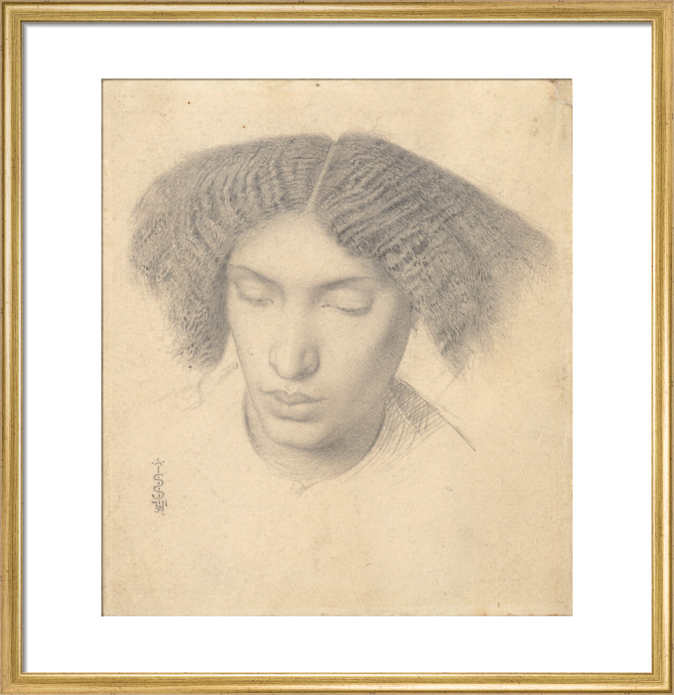 Portrait of Mrs Fanny Eaton (art print, medium, gold)