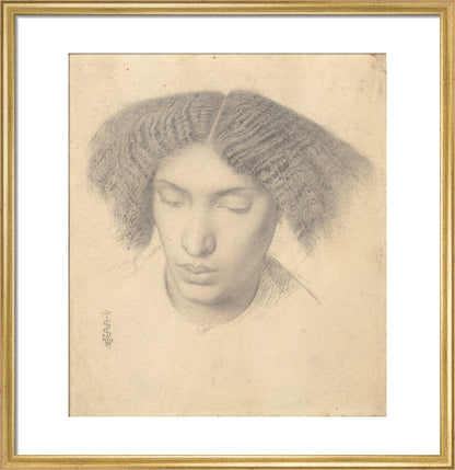 Portrait of Mrs Fanny Eaton (art print, medium, gold)