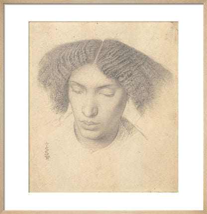 Portrait of Mrs Fanny Eaton (art print, medium, natural)