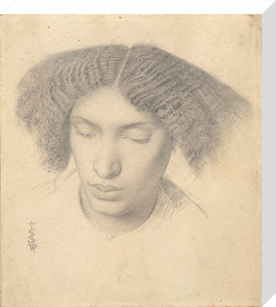 Portrait of Mrs Fanny Eaton (stretched canvas, medium, unframed)