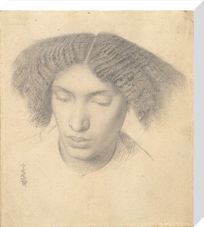 Portrait of Mrs Fanny Eaton (stretched canvas, medium, unframed)