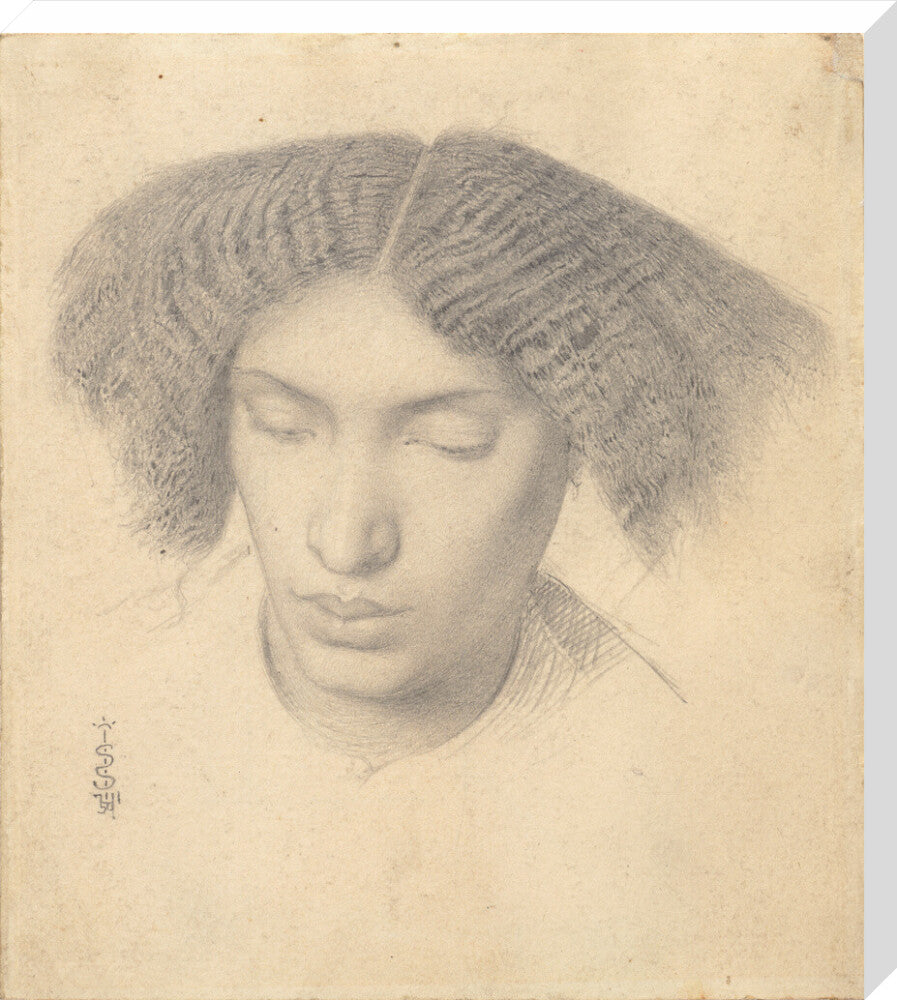 Portrait of Mrs Fanny Eaton (stretched canvas, large, unframed)