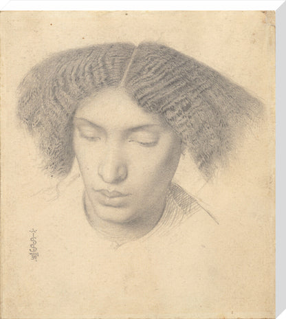 Portrait of Mrs Fanny Eaton (stretched canvas, large, unframed)