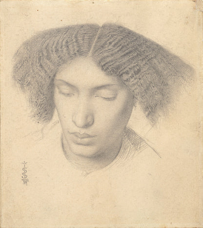 Portrait of Mrs Fanny Eaton