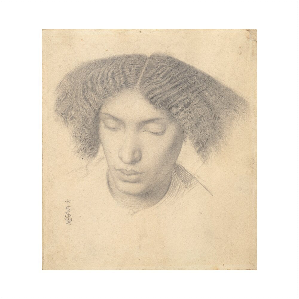 Portrait of Mrs Fanny Eaton (art print, extra large, unframed)