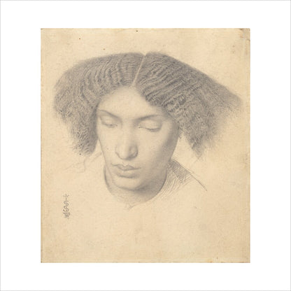 Portrait of Mrs Fanny Eaton (art print, extra large, unframed)