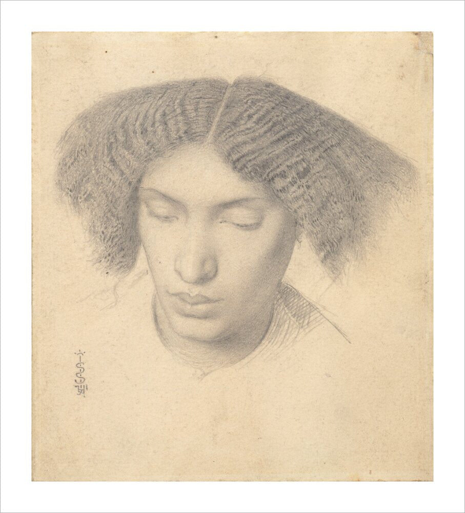 Portrait of Mrs Fanny Eaton (unstretched canvas, extra large, unframed)