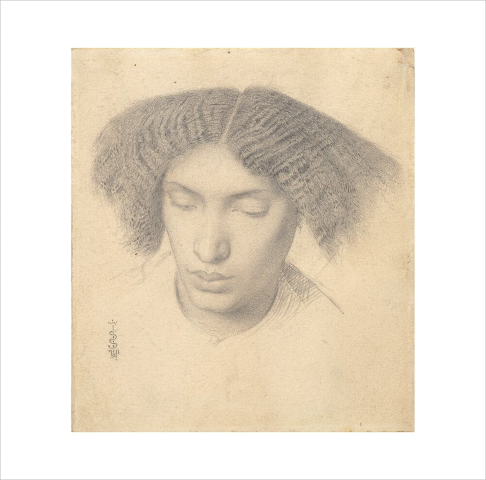Portrait of Mrs Fanny Eaton (art print, small, unframed)