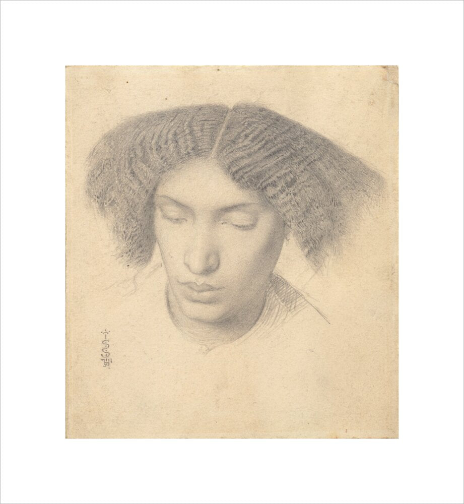 Portrait of Mrs Fanny Eaton (unstretched canvas, small, unframed)