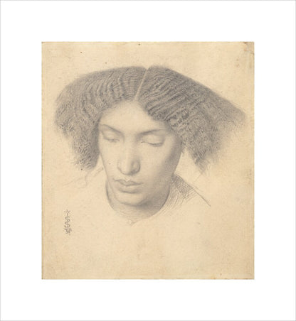 Portrait of Mrs Fanny Eaton (unstretched canvas, small, unframed)