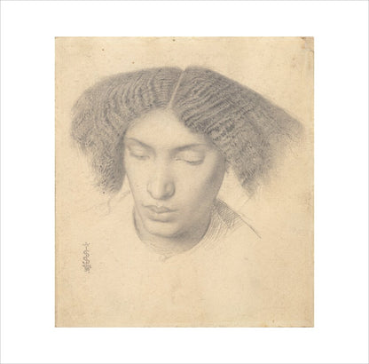 Portrait of Mrs Fanny Eaton (art print, medium, unframed)