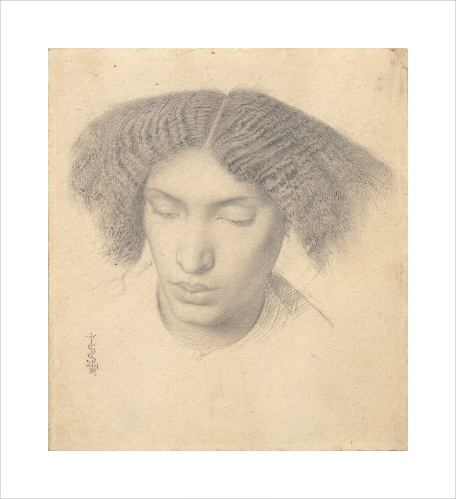 Portrait of Mrs Fanny Eaton (unstretched canvas, medium, unframed)