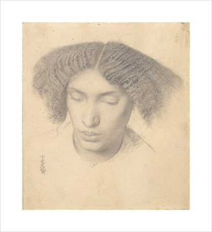 Portrait of Mrs Fanny Eaton (unstretched canvas, medium, unframed)