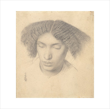 Portrait of Mrs Fanny Eaton (art print, large, unframed)