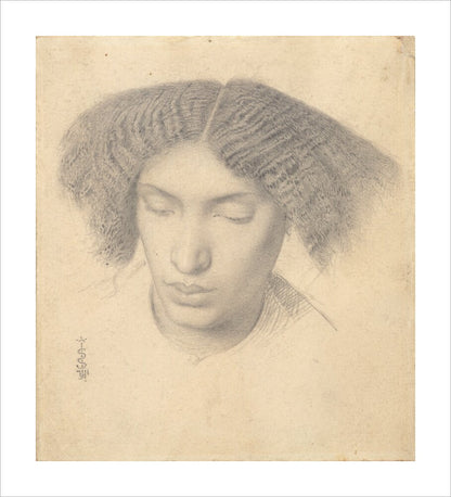 Portrait of Mrs Fanny Eaton (unstretched canvas, large, unframed)