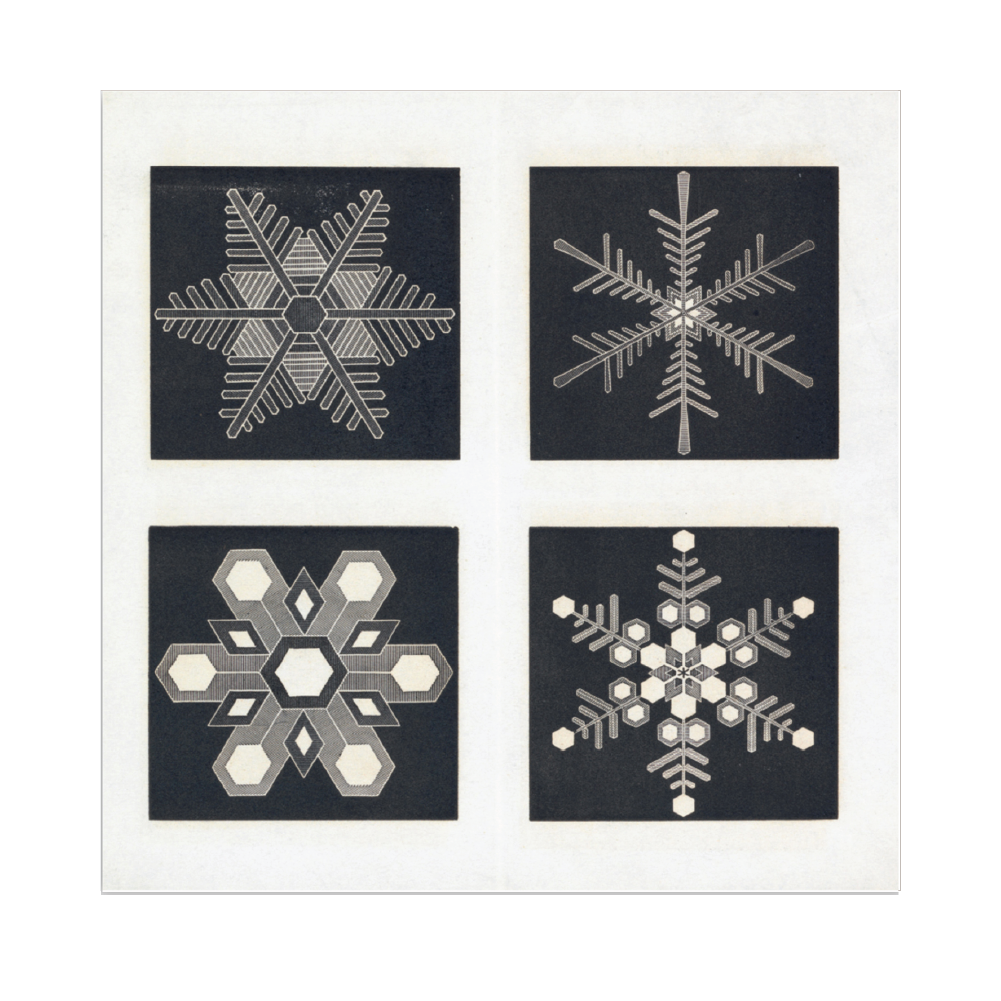 Four Snow Crystals - Christmas card pack