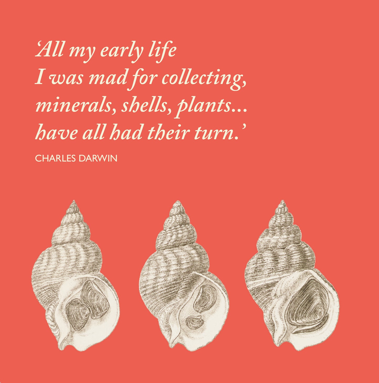 Darwin on Collecting - Greeting card