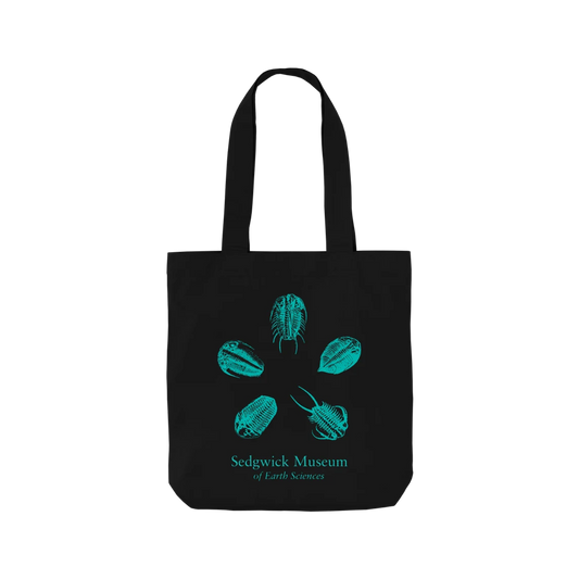 Trilobites - Tote bag