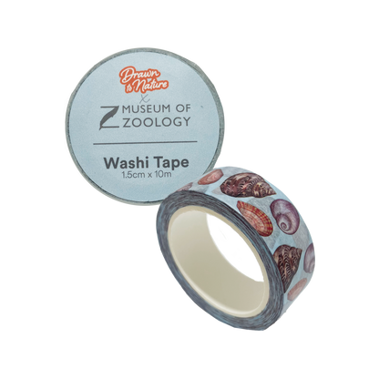 Zoology Shells - Washi tape